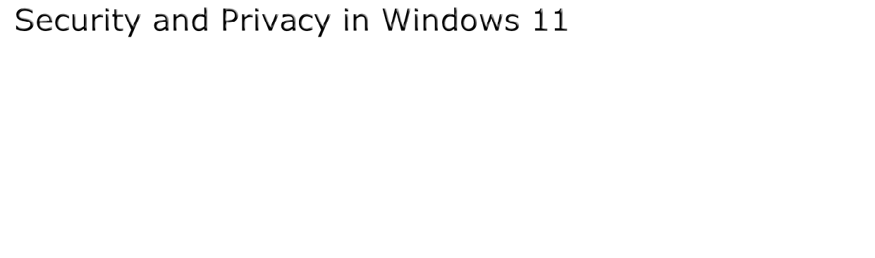 Security and Privacy in Windows 11
